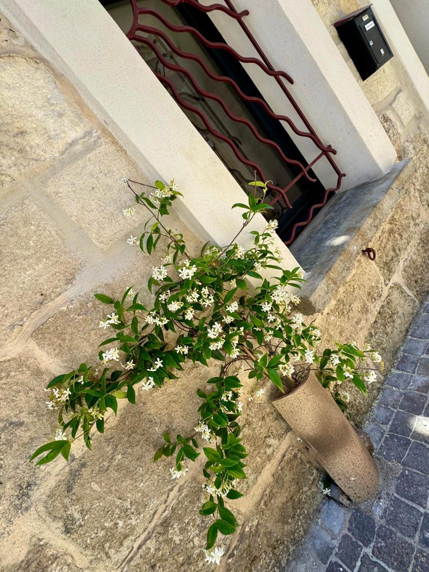 Maison De Village Renovee ! Holiday home